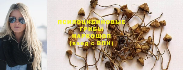 стаф Кулебаки