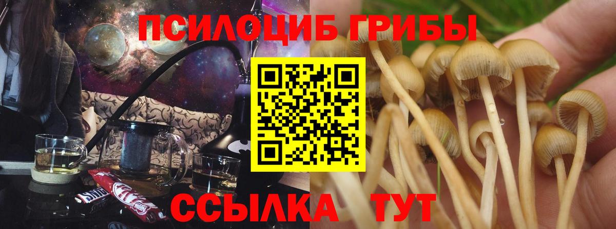 Псилоцибиновые грибы MAGIC MUSHROOMS Бердск