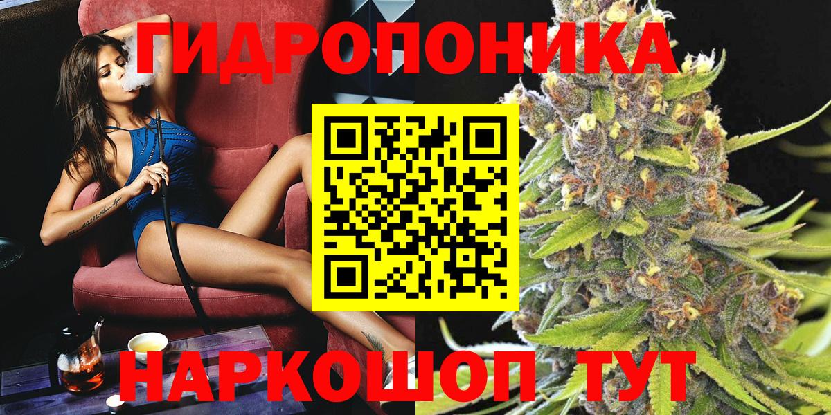 Канабис конопля Бердск